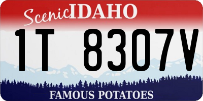 ID license plate 1T8307V
