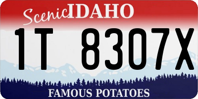 ID license plate 1T8307X