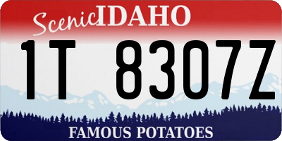 ID license plate 1T8307Z