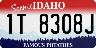 ID license plate 1T8308J