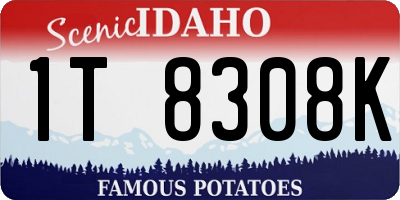 ID license plate 1T8308K