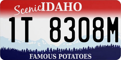 ID license plate 1T8308M