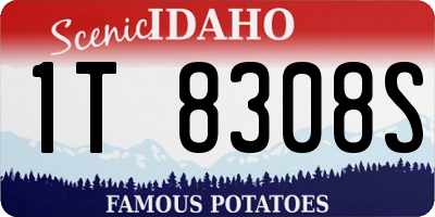 ID license plate 1T8308S