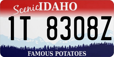 ID license plate 1T8308Z