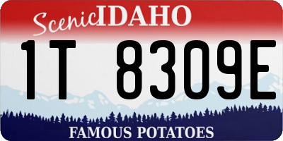 ID license plate 1T8309E