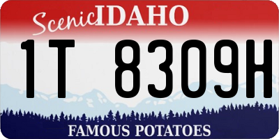 ID license plate 1T8309H