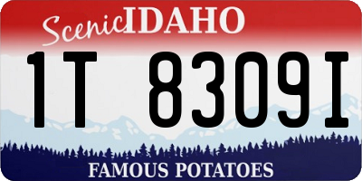 ID license plate 1T8309I