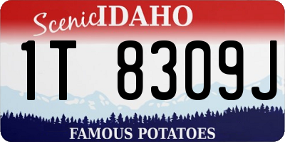 ID license plate 1T8309J