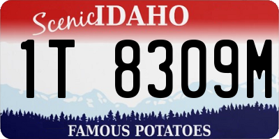 ID license plate 1T8309M