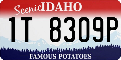 ID license plate 1T8309P