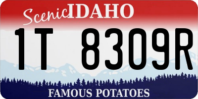 ID license plate 1T8309R