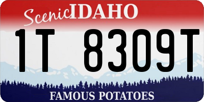 ID license plate 1T8309T