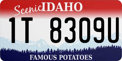 ID license plate 1T8309U