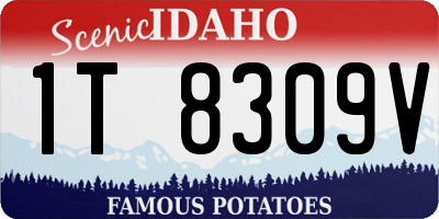 ID license plate 1T8309V