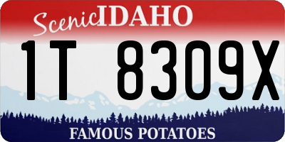 ID license plate 1T8309X