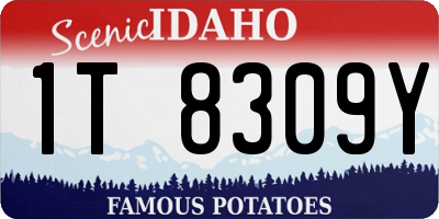 ID license plate 1T8309Y