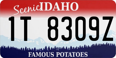 ID license plate 1T8309Z