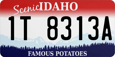 ID license plate 1T8313A