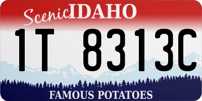ID license plate 1T8313C