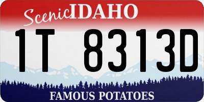 ID license plate 1T8313D