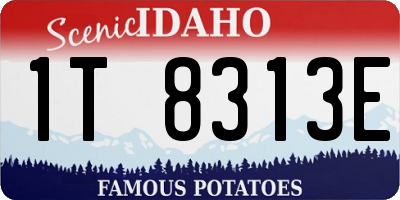 ID license plate 1T8313E