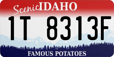 ID license plate 1T8313F