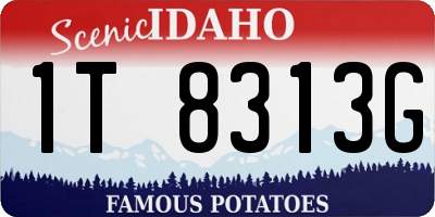 ID license plate 1T8313G