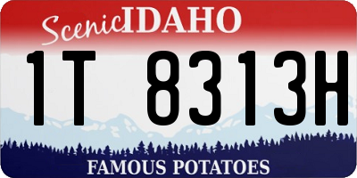 ID license plate 1T8313H
