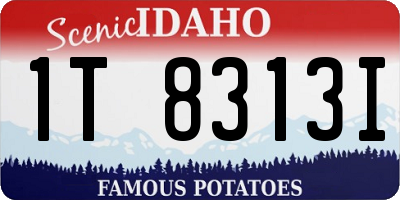 ID license plate 1T8313I