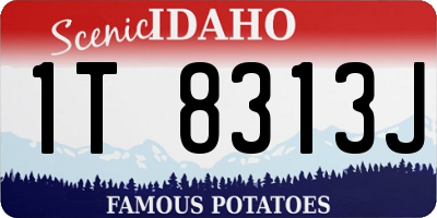 ID license plate 1T8313J