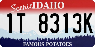 ID license plate 1T8313K