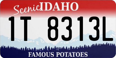 ID license plate 1T8313L