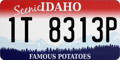 ID license plate 1T8313P