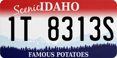 ID license plate 1T8313S