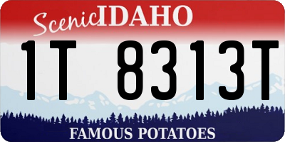 ID license plate 1T8313T