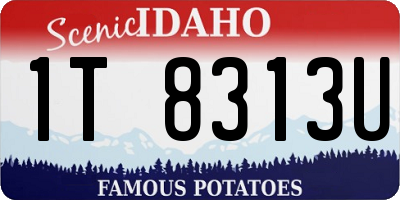 ID license plate 1T8313U