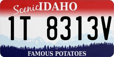 ID license plate 1T8313V