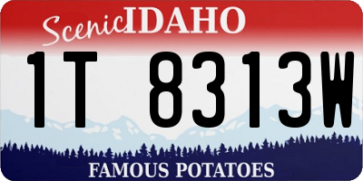 ID license plate 1T8313W
