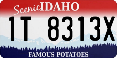 ID license plate 1T8313X