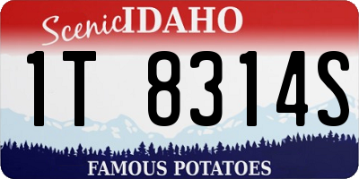 ID license plate 1T8314S