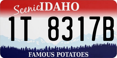 ID license plate 1T8317B