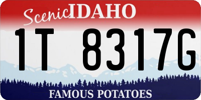 ID license plate 1T8317G