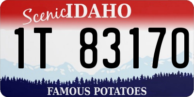 ID license plate 1T8317O