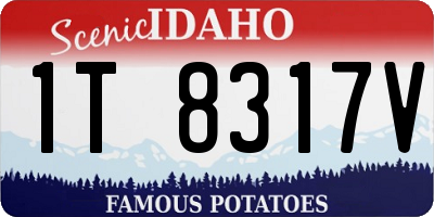 ID license plate 1T8317V