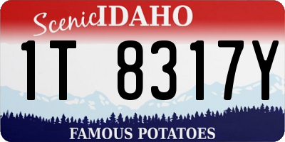 ID license plate 1T8317Y