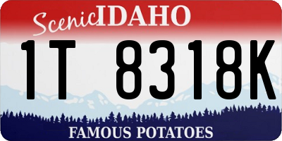 ID license plate 1T8318K