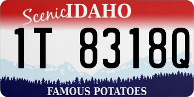 ID license plate 1T8318Q