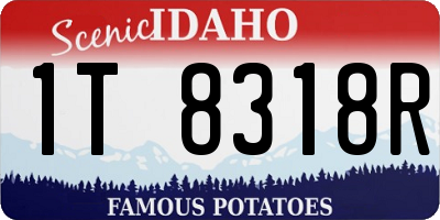 ID license plate 1T8318R