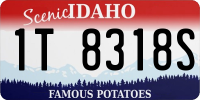 ID license plate 1T8318S