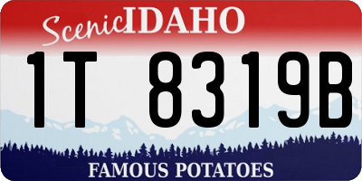 ID license plate 1T8319B